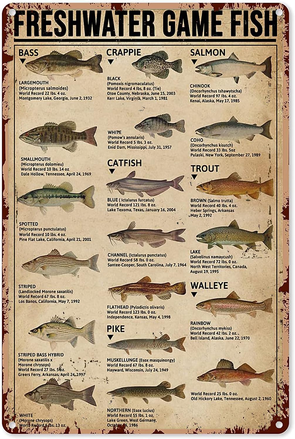 Y1,Fishing Art Posters Metal S - Retro Gaming Pictures review and price